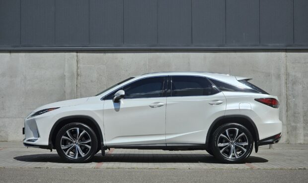 Миниатюра 2 Lexus RX 2020