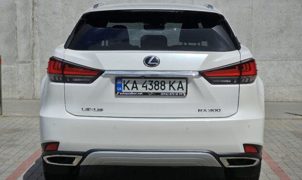 Миниатюра 4 Lexus RX 2020