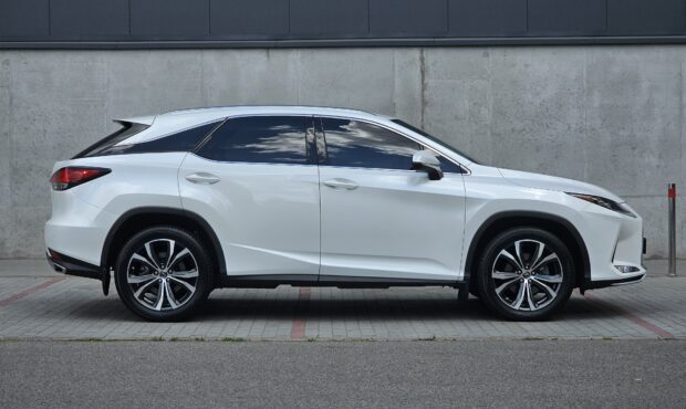 Миниатюра 6 Lexus RX 2020