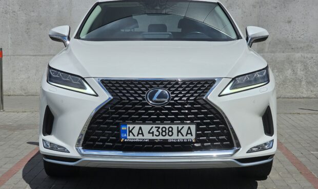 Миниатюра 8 Lexus RX 2020