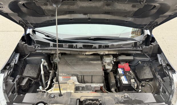 Миниатюра 13 Nissan Leaf 2019