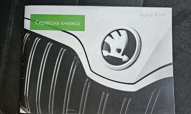 Миниатюра 25 Skoda Kodiaq 2019