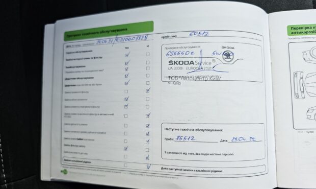 Миниатюра 30 Skoda Kodiaq 2019