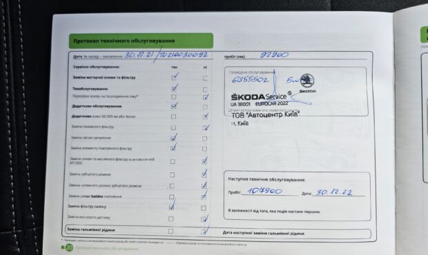 Миниатюра 32 Skoda Kodiaq 2019