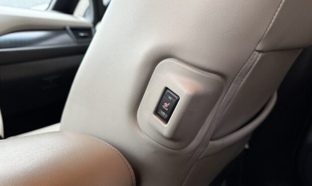 Миниатюра 37 Nissan Leaf 2019