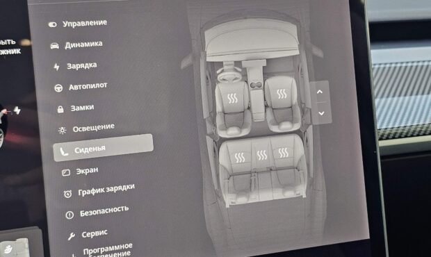 Миниатюра 47 Tesla Model 3 Dual Motor Long Range 2019