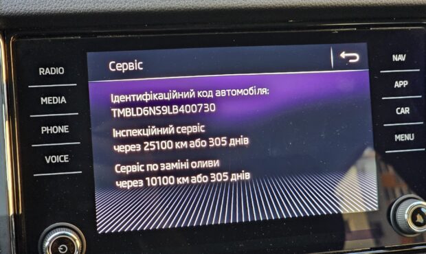 Миниатюра 74 Skoda Kodiaq 2019