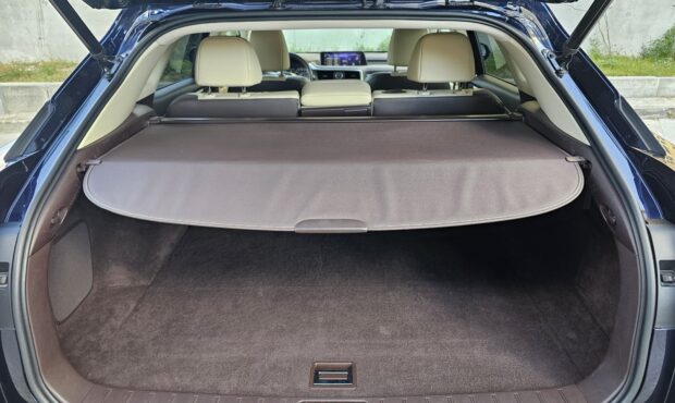 Мініатюра 19 Lexus RX 450 Hybrid 2019