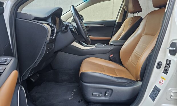 Мініатюра 31 Lexus NX-300H 2019 Hybrid