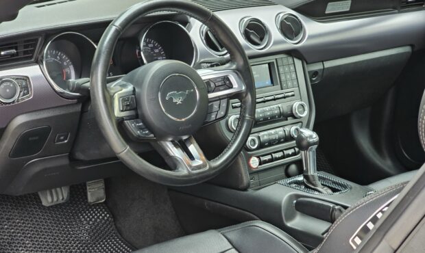 Мініатюра 33 Ford Mustang 2016
