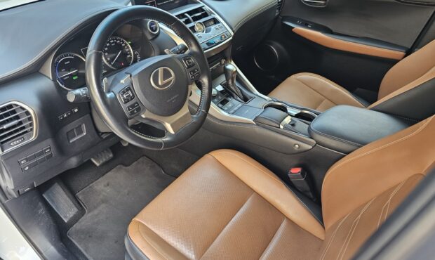 Мініатюра 34 Lexus NX-300H 2019 Hybrid