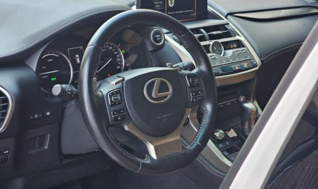 Мініатюра 35 Lexus NX-300H 2019 Hybrid