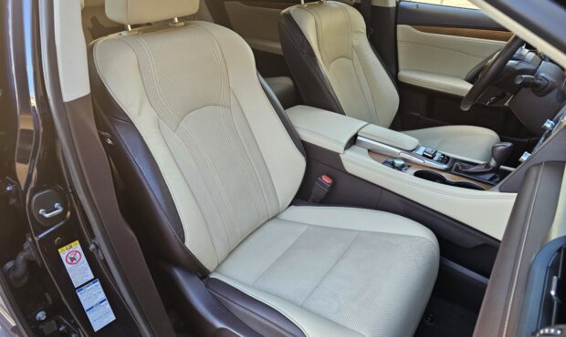 Мініатюра 43 Lexus RX 450 Hybrid 2019