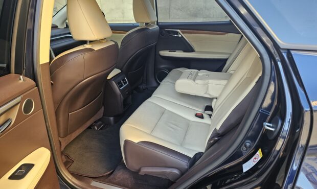 Мініатюра 47 Lexus RX 450 Hybrid 2019