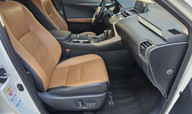 Мініатюра 48 Lexus NX-300H 2019 Hybrid