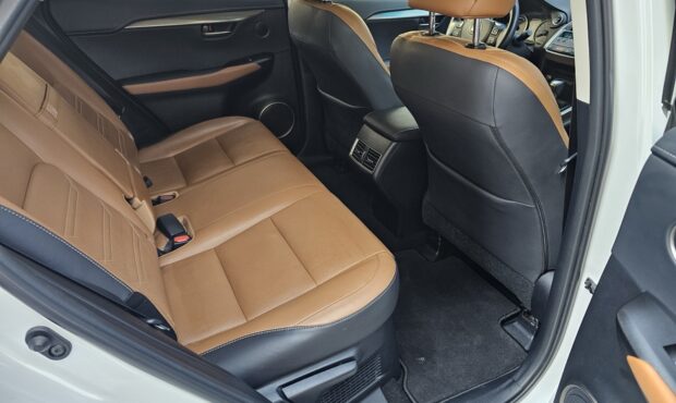 Мініатюра 54 Lexus NX-300H 2019 Hybrid