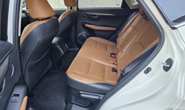 Мініатюра 56 Lexus NX-300H 2019 Hybrid