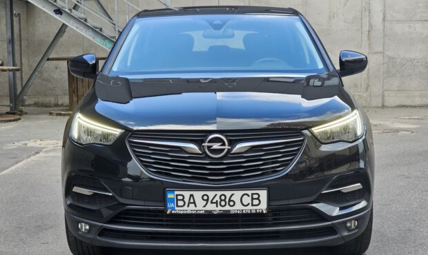 Мініатюра 8 Opel Grandland X 2019