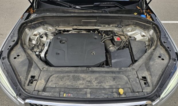 Мініатюра 20 Volvo XC90 2021