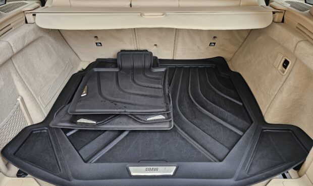 Мініатюра 22 BMW X5 2018