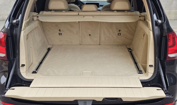 Мініатюра 23 BMW X5 2018