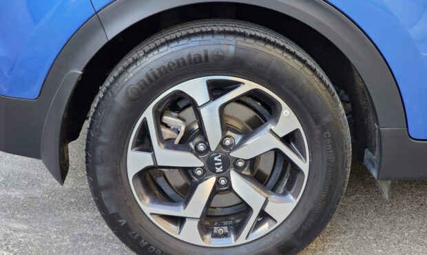 Миниатюра 13 Kia Sportage 2021