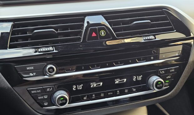 Миниатюра 52 BMW 530d 2019