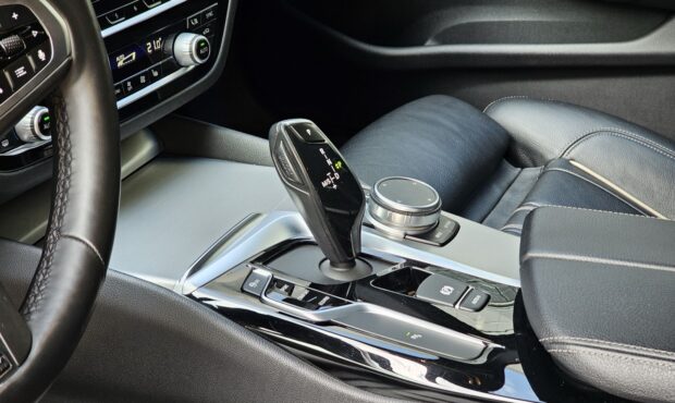 Миниатюра 53 BMW 530d 2019